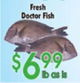 Danforth Food Market Fresh Doctor Fish offer
