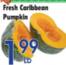 Danforth Food Market Fresh Caribbean Pumpkin offer