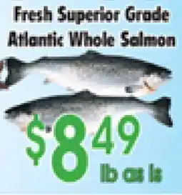 Danforth Food Market Fresh Superior Grade Atlantic Whole Salmon offer