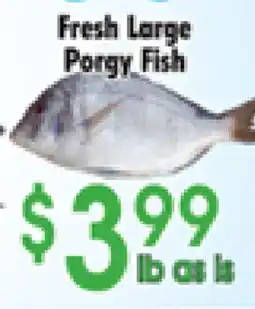 Danforth Food Market Fresh Large Porgy Fish offer