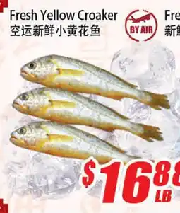 WinCo Food Mart Fresh Yellow Croaker offer