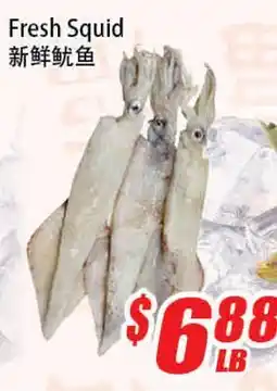 WinCo Food Mart Fresh Squid offer