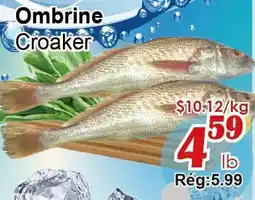 Marche C&T Ombrine Croaker offer
