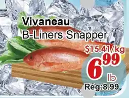 Marche C&T Vivaneau B-Liners Snapper offer