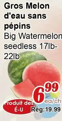 Marche C&T Big Watermelon seedless offer