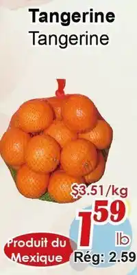 Marche C&T Tangerine offer