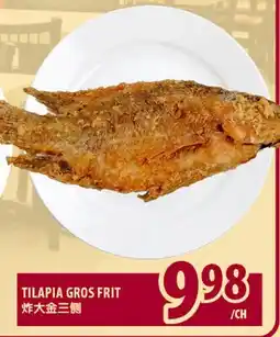 Marché Lian Tai TILAPIA GROS FRIT offer