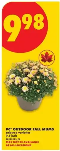 No Frills PC outdoor fall mums offer