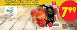 No Frills Farmer's Market yellow peaches offer