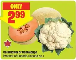 FreshCo Cauliflower or Cantaloupe offer