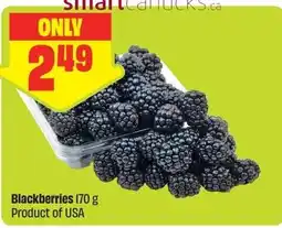 FreshCo Blackberries offer