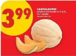 No Frills Cantaloupes offer