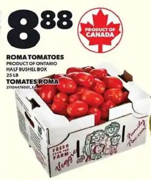 Roma Tomatoes