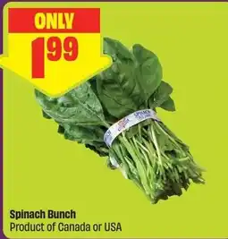 FreshCo Spinach Bunch offer