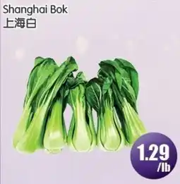 FreshPro Foodmart Shanghai Bok offer