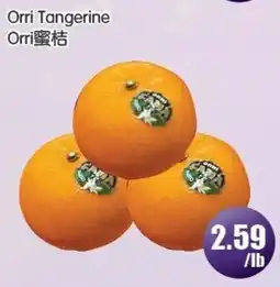 FreshPro Foodmart Orri tangerine offer