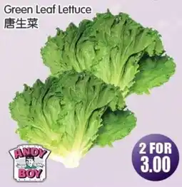 FreshPro Foodmart Andy boy green leaf lettuce offer