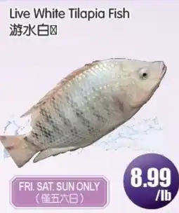 FreshPro Foodmart Live White Tilapia Fish offer