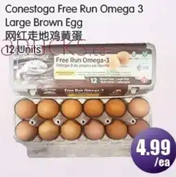 FreshPro Foodmart Conestoga Free Run Omega 3 Large Brown Egg offer