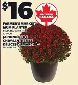Independent Grocer Farmer's Market Mum Planter offer