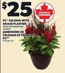 Independent Grocer PC celosia with grass planter offer
