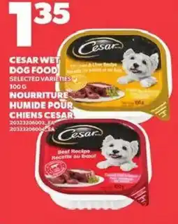 Independent Grocer Cesar wet dog food selected varieties offer