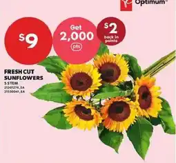 Independent Grocer Optimum fresh cut sunflowers offer