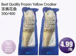 FreshPro Foodmart Best Quality Frozen Yellow Croaker offer
