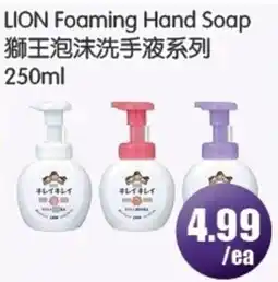 FreshPro Foodmart Lion foaming hand soap offer