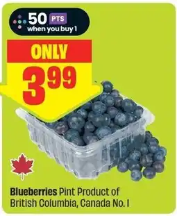 FreshCo Blueberries offer