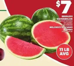 Independent Grocer Seedless watermelon offer