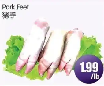 Pork Feet