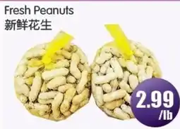 FreshPro Foodmart Fresh Peanuts offer