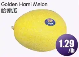 FreshPro Foodmart Golden Hami Melon offer