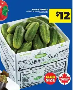 Real Canadian Superstore DILL CUCUMBERS offer