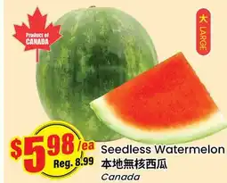 Btrust Supermarket Seedless Watermelon offer