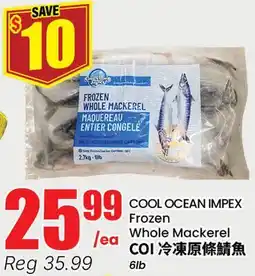 Btrust Supermarket COOL OCEAN IMPEX Frozen Whole Mackerel offer