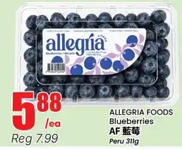 Btrust Supermarket ALLEGRIA FOODS Blueberries offer