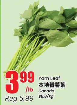Btrust Supermarket Yam Leaf offer