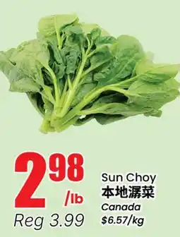 Btrust Supermarket Sun Choy offer