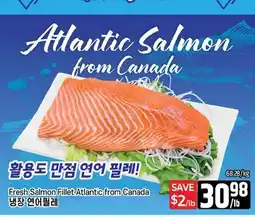 Galleria Supermarket Fresh Salmon Fillet Atlantic from Canada offer