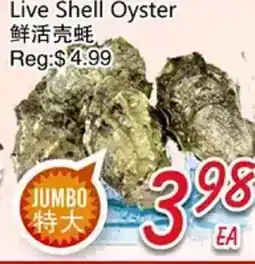 Foody Mart Live Shell Oyster offer