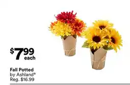 Michaels Fall Potted offer
