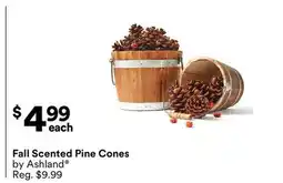 Michaels Fall Scented Pine Cones offer