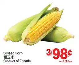 T&T Supermarket SWEET CORN offer