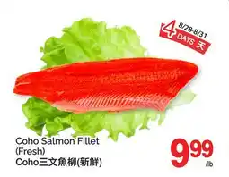 T&T Supermarket COHO SALMON FILLET offer