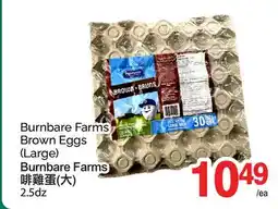 T&T Supermarket BURNBARE FARMS BROWN EGGS, 2.5DZ offer
