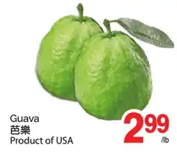 T&T Supermarket GUAVA offer
