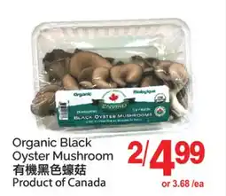 T&T Supermarket ORGANIC BLACK OYSTER MUSHROOM offer
