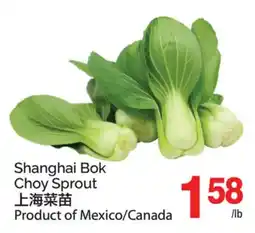 T&T Supermarket SHANGHAI BOK CHOY SPROUT offer
